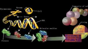 生物信息-序列对比的并行加速